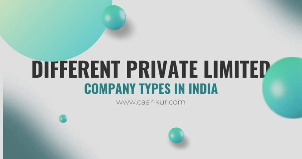 Different Private Limited Company Types in India